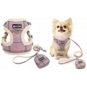 Pet Vest Harness Leash Set for Small and Medium Dogs