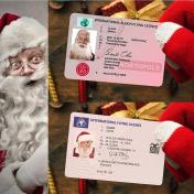 Santa Claus Sleigh Flying Licence Card