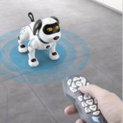 Programming Stunt Smart Robot Dog