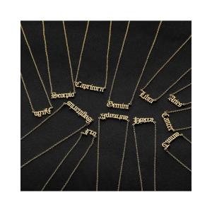 Horoscope Stainless Steel Zodiac Sign Necklace
