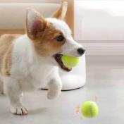 Automatic Tennis Ball Launcher For dog