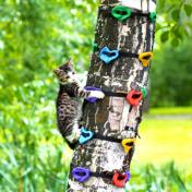 12 Ninja Tree Climbing Holds for Outdoor Training