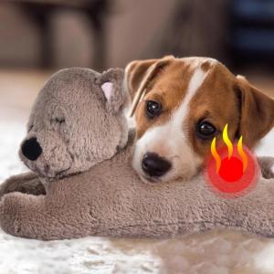 Heartbeat Pet Heating Behavioral Puppy 
