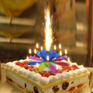 Innovative Party Lotus Cake Candle 