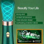 Hot Air Hair Brush Comb