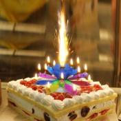 Innovative Party Lotus Cake Candle