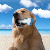 Chill Out Ice Bone
