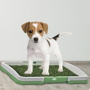 Dog Potty Pet Training Grass Mat