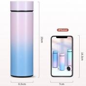 Temperature Display Smart Water Bottle