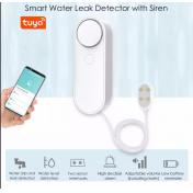Smart Home Water Flow Sensor Alarm