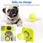 Interactive Automatic Pet Ball Launcher