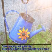 Blue Solar Watering Can with Light