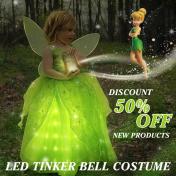 LED Light Up Princess Costume Dress