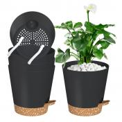 Self Watering Plant Pots with Saucer