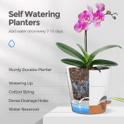 Self Watering Plant Pots with Saucer