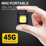 Mini Multifunctional Keychain COB Emergency Light Camping Light