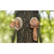 Resin Squirrel Tree Sculpture