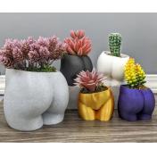 3D Printed Booty Shaped Planter 