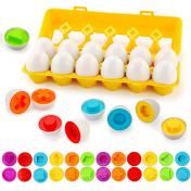 Matching Eggs Color&Shape Recognition Sorter Puzzle Skills Educational Toys