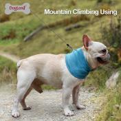 Summer Cooling Collar Scarf Chill Out Pet Cooling Bandana