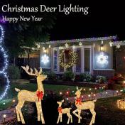 Christmas Lighted Reindeer Decorations LED Lights
