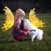The Ultimate Automatic Fairy Wings