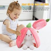 Reversible Hide And Seek Bunny Plush Toy
