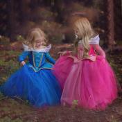 Cinderella Aurora Inspired Girls Princess Costume Dress