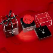 Eternal Flowers Rose Gifts with Necklace