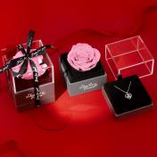 Eternal Flowers Rose Gifts with Necklace
