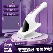 Household Iron Beauty Lifting Facial Instrument