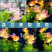 Solar Outdoor Lights with Glowing Flowers & Stems