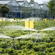 360 Degree Automatic Irrigation Watering Sprinklers