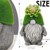 Resin Solar Gnomes Succulent Statues with Solar Lights