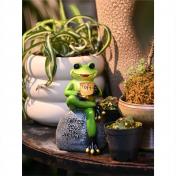 Frog Garden Statues Figurines with Solar Light
