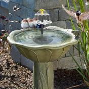 Eco-Friendly 2.5W Solar-Powered Bird Bath Fountain