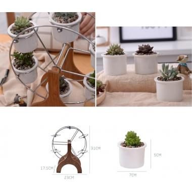 Succulent Planter Set Indoor Plant Pot Ferris Wheel Plant Stand with 6 Pots