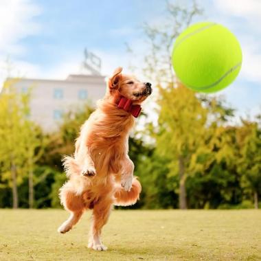 24CM Diameter Dog Chews Giant Pet Ball Tennis Ball