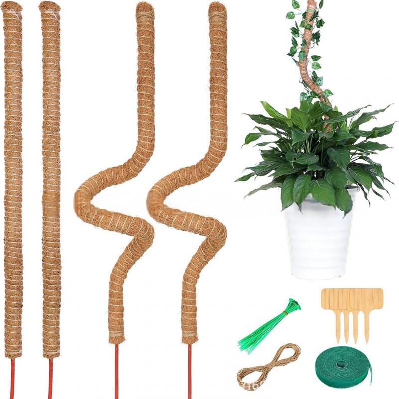 Flexible Indoor Plant Climbing Moss Pole Coconut Palm Stick